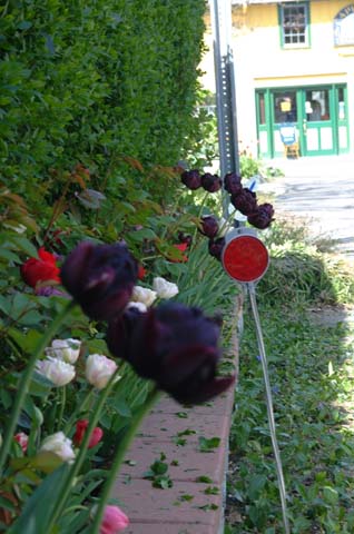 DSCF0342